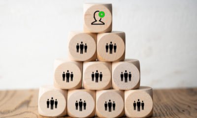 5 Steps to Arrange Employee Hierarchy in a Startup