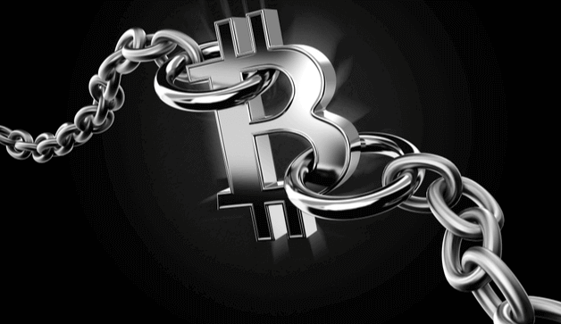 What Does the Bitcoin Blockchain Record? What Does the Bitcoin Blockchain Record?
